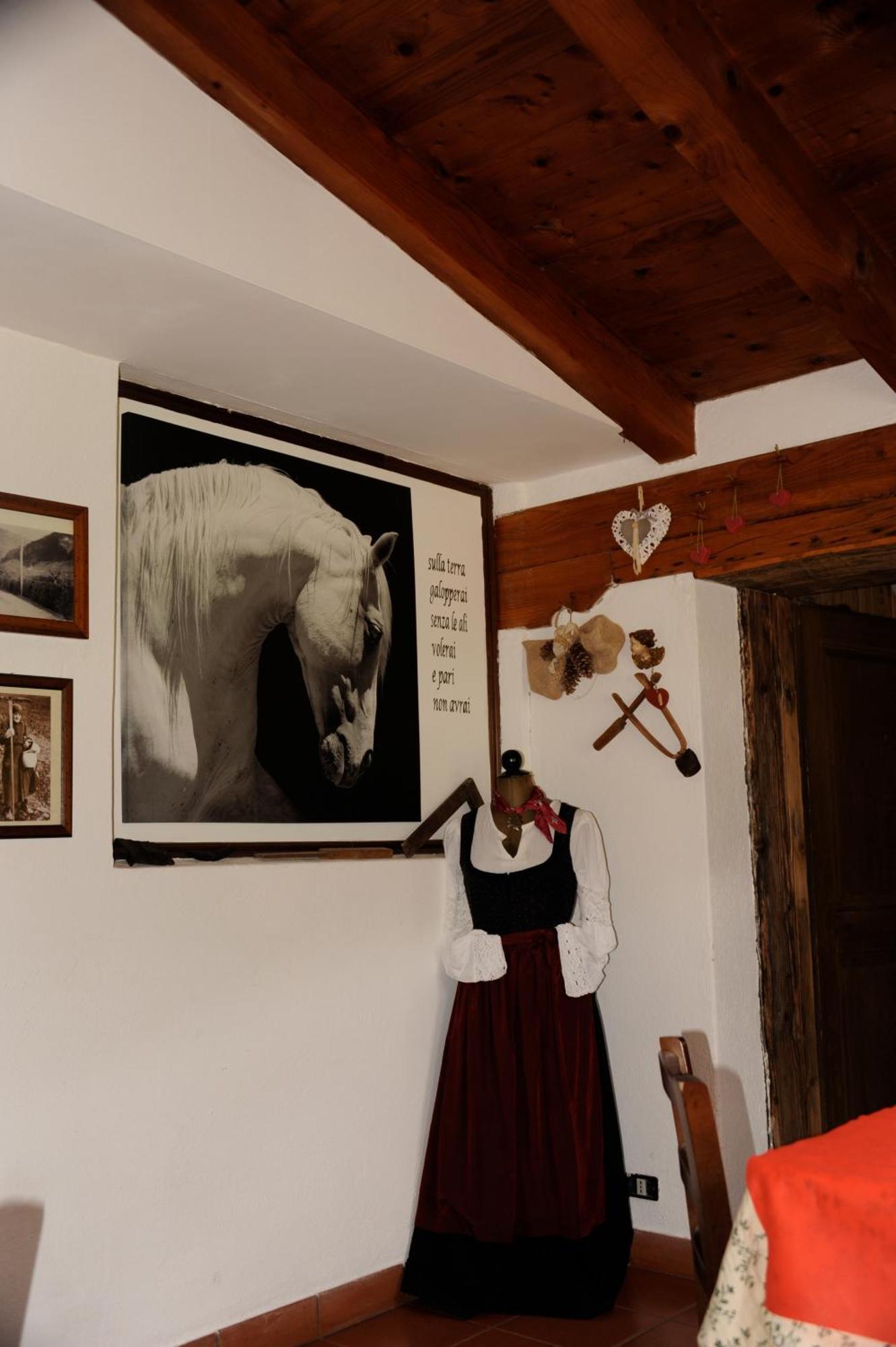 Agriturismo Randis Piano d'Arta Экстерьер фото